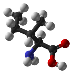 L-isoleucine-3D-balls