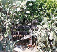La Casa Alvarado Sign