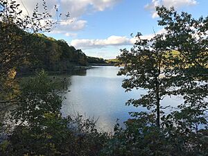 Lacy Lake