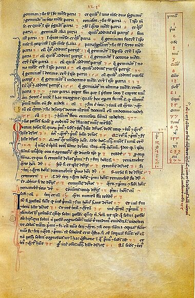 Liber abbaci magliab f124r