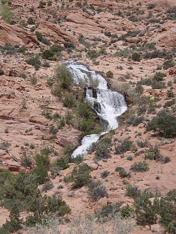 Little Dolores River Waterfall in Westwater Canyon, Utah 6.jpg