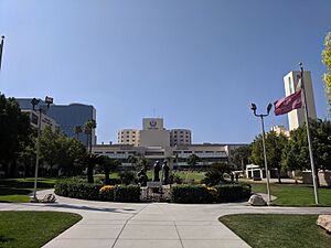 Loma linda university