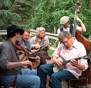 Lost Dog String Band