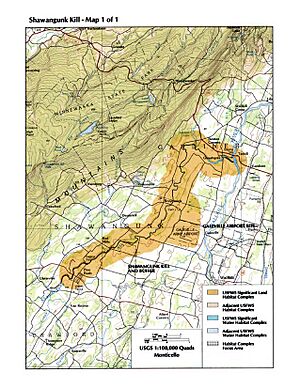 Lower Shawangunk Kill habitat map
