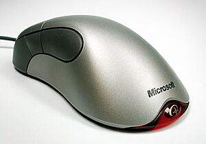 Microsoft IntelliMouse 2001