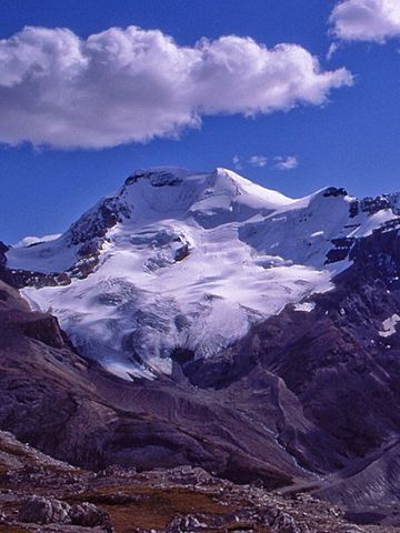 Mt. Athabasca from Wilcox Pass.jpg