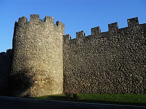 Mura di Rieti, tra porta Conca e porta d'Arci - 04