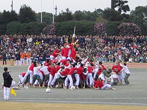 NDAJ Bo-taoshi 4
