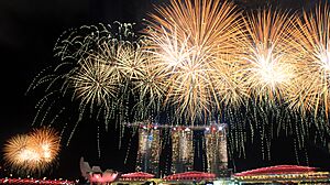 NDP2015SG501