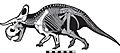 Nasutoceratops skeleton
