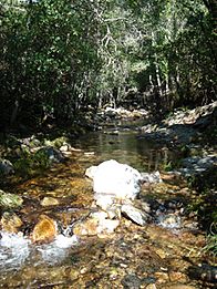 Naturaleza Casas del Conde