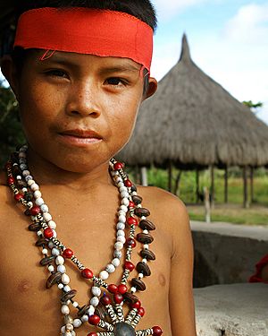 Pemon Facts for Kids