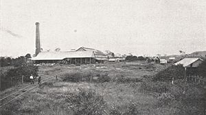 North Eton Sugar Mill, circa 1912