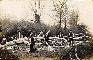 Odell Great Wood historic photograph.jpg