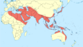 Orthetrum sabina distribution map