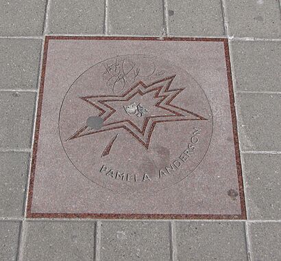 Pamela Anderson star on Walk of Fame