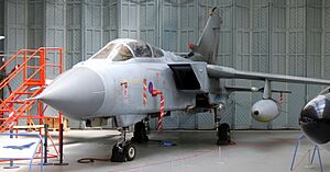 Panavia Tornado, Imperial War Museum, Duxford, May 19th 2018. (46653603632)