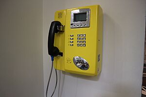 Pay phone in the Vatican City