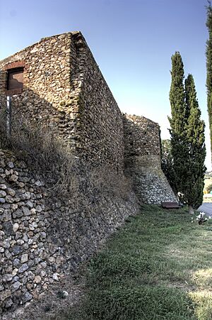 Pedret i Marzà - Castell de Marzà
