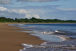 Playa El Arenal, Pedasí, Los Santos in 2008