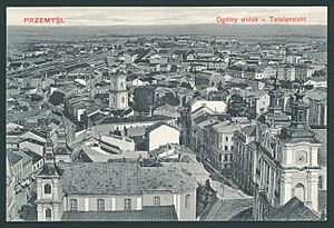 Przemysl - ogolny widok. ante 1914 (73251343)