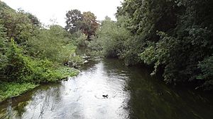 River Colne in Denham Country Park