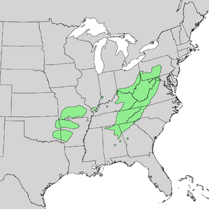 Robinia pseudoacacia distribution map.png