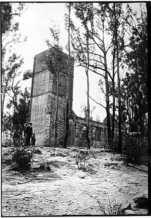 Ruins at Boydtown, New South Wales (6129015096)