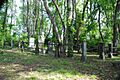 SYLVAN GROVE CEMETERY, RICHMOND COUNTY, NY