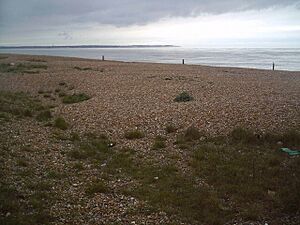 Shingle Beach North of Deal looking over Sandwich Bay to The Isle of Thanet - geograph.org.uk - 436168