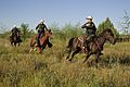 South Texas, Border Patrol Agents, McAllen Horse Patrol Unit