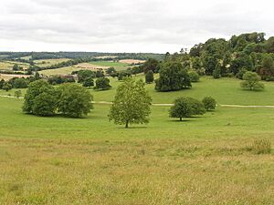 Stonor Park - geograph.org.uk - 886637