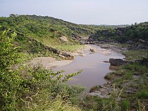 Swaan River