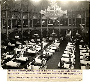 The Dome Hospital Brighton, showing some of the 689 beds in the whole hospital (Photo 24-1)