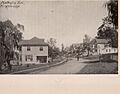 The Great north side, or, Borough of the Bronx, New York (1897) (14578304859)