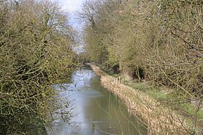 The Oakham Canal - geograph.org.uk - 146257.jpg
