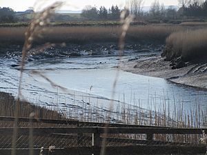 The Rhine is a tidal river