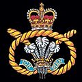 The Staffordshire Regiment Capbadge
