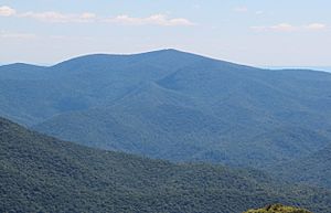 Tray Mountain viewed from Brasstown Bald