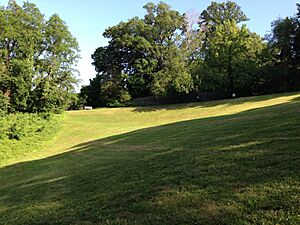 Tregaron Conservancy looking toward the upper meadow 2013-05-31 17-59