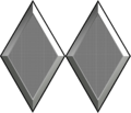 US - CAP Cadet Lt Col