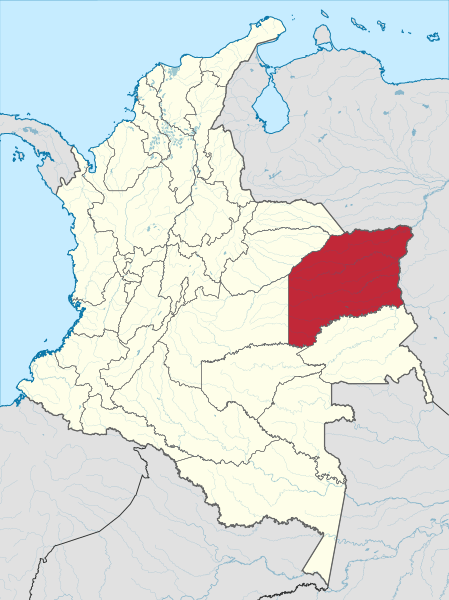 Image Vichada in Colombia (mainland)