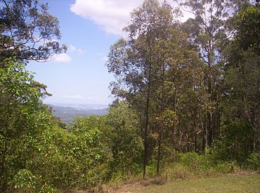 View-of-Brisbane-city-from-Camp-Mountain.jpg