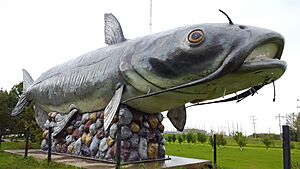 Wahpeton catfish