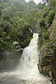 Wainui Falls in full flow