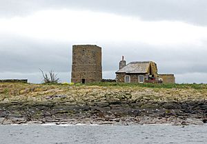 Warden's cottage and tower, Brownsman island - geograph.org.uk - 1371372