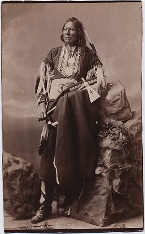 White Eagle Ponca chief by John K Hillers