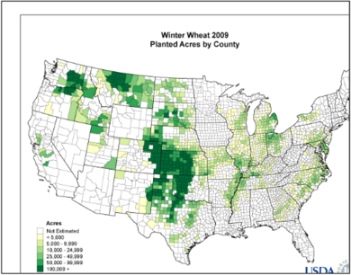 Winter Wheat 2009 Planted by County
