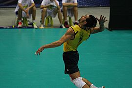 fivb world league 2011