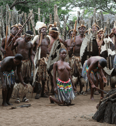 Zulu dance (cropped)